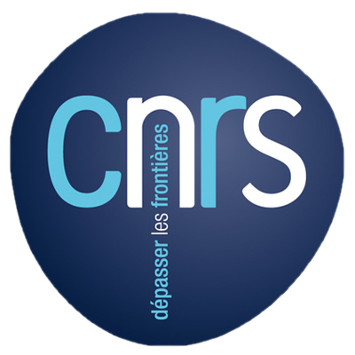 CNRS_Logo_.png